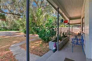 1115 NE 5th Pl, Gainesville, FL 32601 - Photo 5