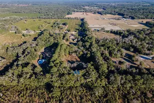 13076 Southwest 154th Street, Archer, FL 32618 - Photo 53