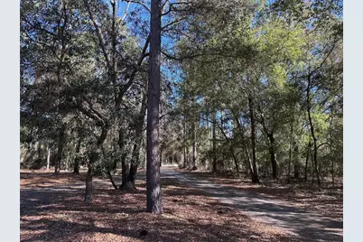 3760 SE County Road 337, Morriston, FL 32668 - Photo 23