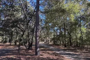 3760 SE Co Rd 337, Morriston, FL 32668 - Photo 23