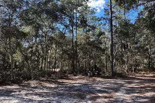 3760 SE Co Rd 337, Morriston, FL 32668 - Photo 25