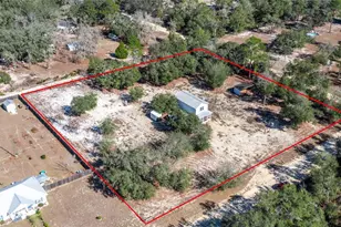 10711 NE 98th Ln, Archer, FL 32618 - Photo 33