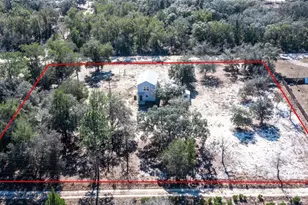 10711 NE 98th Ln, Archer, FL 32618 - Photo 37