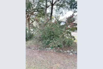 407 SE 4th Street, Williston, FL 32696 - Photo 21