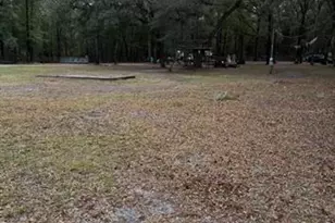 10424 SW 151st Pl, Dunnellon, FL 34432 - Photo 15