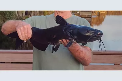 243 Herman Drive, Hawthorne, FL 32640 - Photo 53