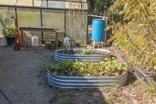 243 Herman Dr, Hawthorne, FL 32640 - Photo 45