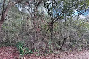 16151 NW 80 Ct, Fanning Springs, FL 32693 - Photo 1