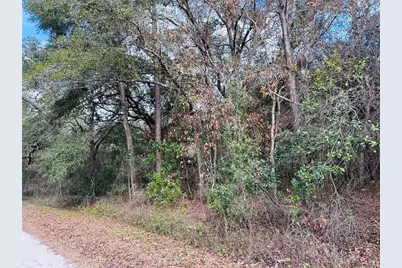 16151 NW 80th Court, Fanning Springs, FL 32693 - Photo 5