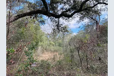 16151 NW 80th Court, Fanning Springs, FL 32693 - Photo 3