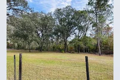 12468 SE Hwy 349, Old Town, FL 32680 - Photo 5