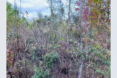 12468 SE Hwy 349, Old Town, FL 32680 - Photo 41