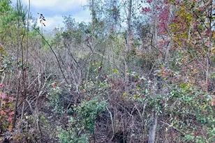 12468 SE Hwy 349, Old Town, FL 32680 - Photo 41