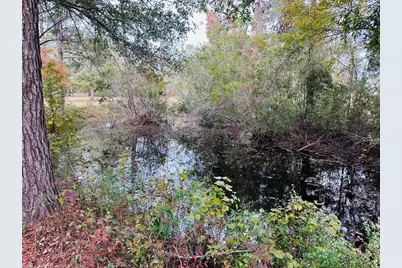 12468 SE Hwy 349, Old Town, FL 32680 - Photo 25