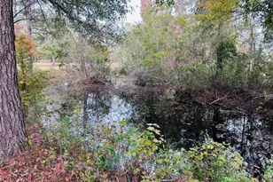 12468 SE Hwy 349, Old Town, FL 32680 - Photo 25