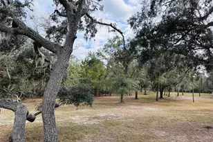 12468 SE Hwy 349, Old Town, FL 32680 - Photo 37