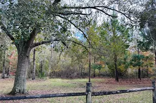 12468 SE Hwy 349, Old Town, FL 32680 - Photo 31