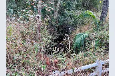 12468 SE Hwy 349, Old Town, FL 32680 - Photo 23