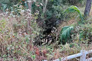 12468 SE Hwy 349, Old Town, FL 32680 - Photo 23