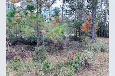 12468 SE Hwy 349, Old Town, FL 32680 - Photo 3