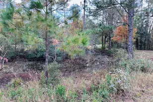 12468 SE Hwy 349, Old Town, FL 32680 - Photo 3