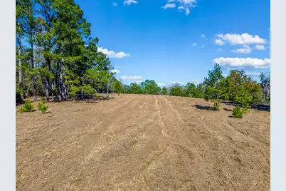 Tbd 99th Avenue, Lake Butler, FL 32054 - Photo 1