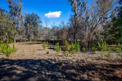 Tbd 99th Avenue, Lake Butler, FL 32054 - Photo 19