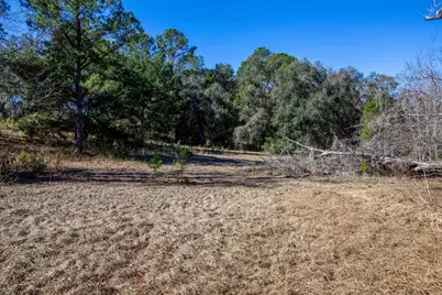 Tbd 99th Avenue, Lake Butler, FL 32054 - Photo 17