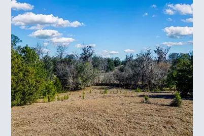 Tbd 99th Avenue, Lake Butler, FL 32054 - Photo 9