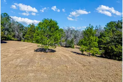Tbd 99th Avenue, Lake Butler, FL 32054 - Photo 5