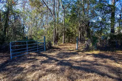 Tbd 99th Avenue, Lake Butler, FL 32054 - Photo 3