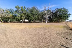 8116 SW 113th Ave, Lake Butler, FL 32054 - Photo 9