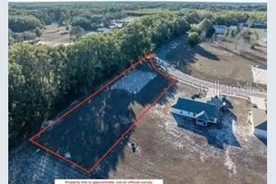 1772 N Roberts Trail, Bell, FL 32619 - Photo 27