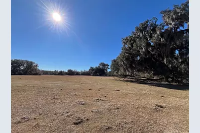 Tbd Hwy 329, Micanopy, FL 32667 - Photo 5