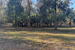 1085 State Road 100, Florahome, FL 32140 - Photo 23