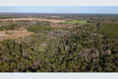 14403 NW 258th Place, Alachua, FL 32615 - Photo 3