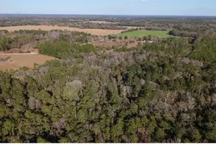 14403 NW 258 Pl, Alachua, FL 32615 - Photo 3