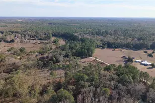 14403 NW 258 Pl, Alachua, FL 32615 - Photo 5