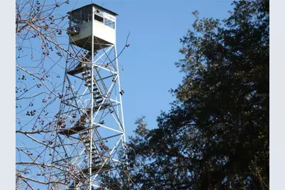 5935 SE 230th Terrace, Hawthorne, FL 32640 - Photo 29