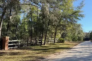 127 SE 930th St, Old Town, FL 32680 - Photo 47