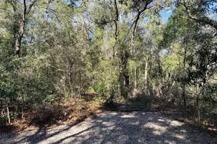 127 SE 930th St, Old Town, FL 32680 - Photo 55