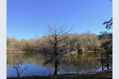 127 SE 930 Street, Old Town, FL 32680 - Photo 67