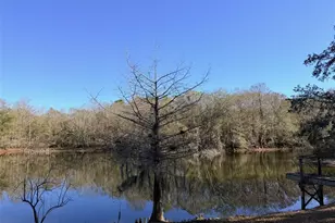 127 SE 930th St, Old Town, FL 32680 - Photo 67