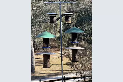 127 SE 930 Street, Old Town, FL 32680 - Photo 69