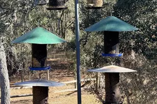 127 SE 930th St, Old Town, FL 32680 - Photo 69