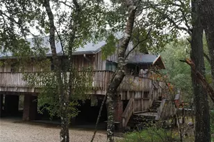 127 SE 930th St, Old Town, FL 32680 - Photo 73