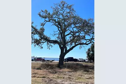 502 Main Street #207, Horseshoe Beach, FL 32648 - Photo 43