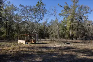 847 SW Applewood Glen, Fort White, FL 32038 - Photo 41