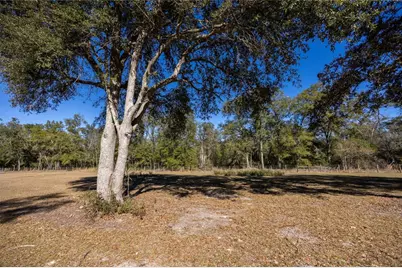 847 SW Applewood Glen, Fort White, FL 32038 - Photo 37