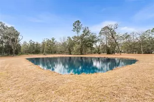 3670 NW 20th Ave, Bell, FL 32619 - Photo 47